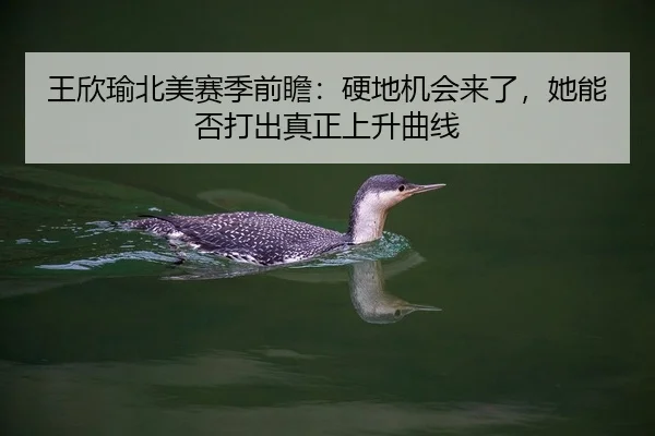 王欣瑜北美赛季前瞻：硬地机会来了，她能否打出真正上升曲线